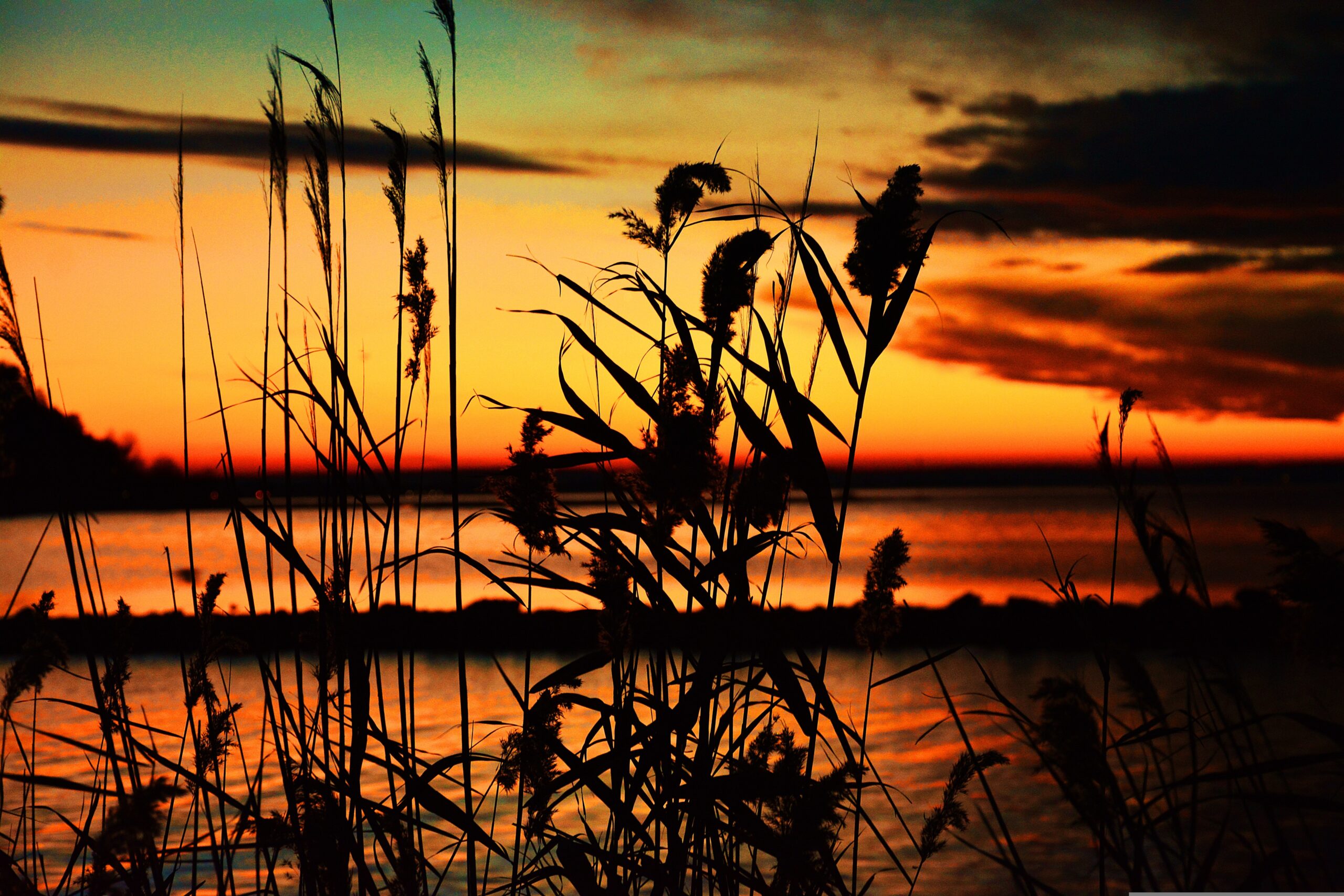 steve001-lake-balaton-580701